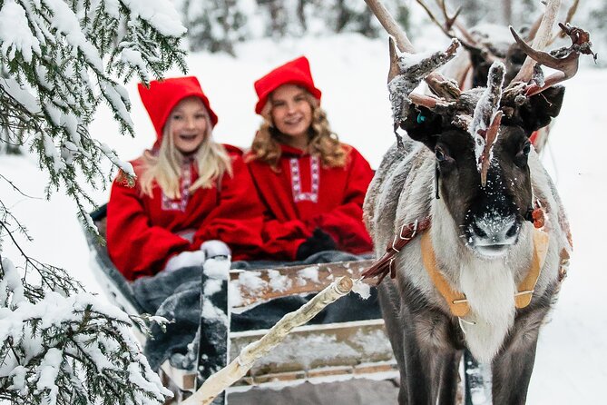 2km Sleigh Ride & Feeding Experience at Traditional Reindeer Farm - Key highlights to know before you go
