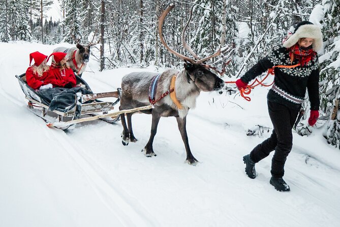 2km Sleigh Ride & Feeding Experience at Traditional Reindeer Farm - Reindeer feeding and interaction: the part you’ll remember