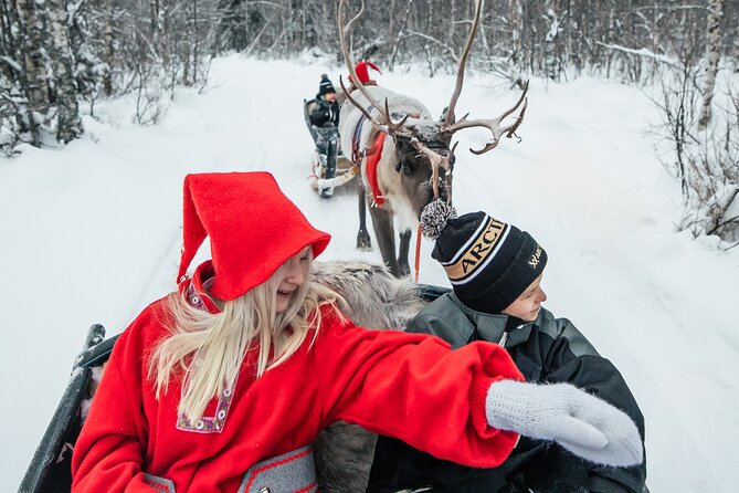 2km Sleigh Ride & Feeding Experience at Traditional Reindeer Farm - Clothing, cold comfort, and what to bring