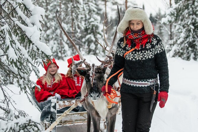 2km Sleigh Ride & Feeding Experience at Traditional Reindeer Farm - Price and value: is $116 fair for what you get?