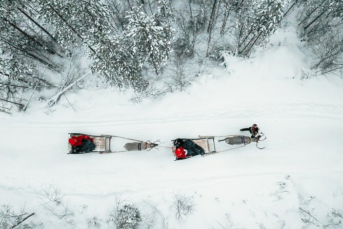 2km Sleigh Ride & Feeding Experience at Traditional Reindeer Farm - The 2 km sleigh ride: comfort, calm, and real motion