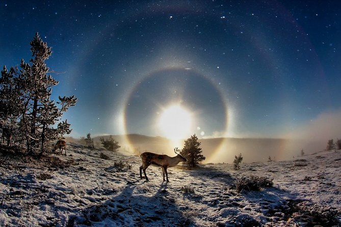All Day Snowmobile Driving - Why This Lapland Snowmobile Day Feels Like the Real Thing