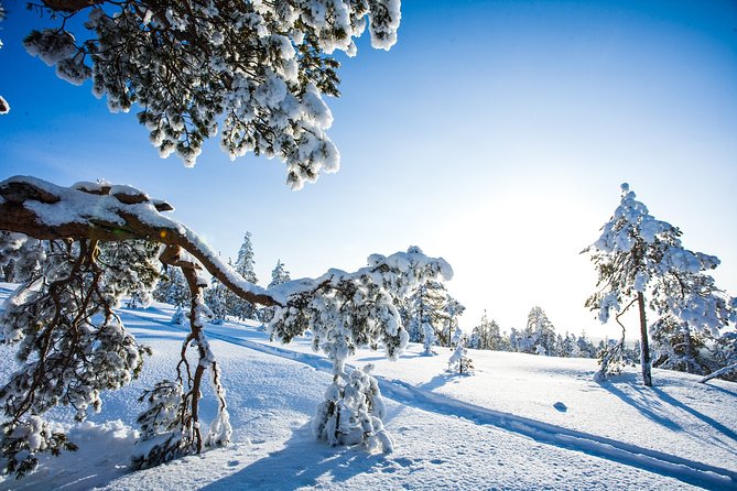 All Day Snowmobile Driving - Group Size and the Feel of the Experience