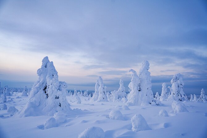 Arctic Adventure through Magical Frozen Forests of Riisitunturi - Key Highlights You’ll Care About
