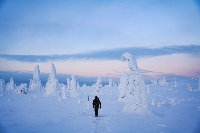 Arctic Adventure through Magical Frozen Forests of Riisitunturi - Riisitunturi’s Snowy Spruce Forests: The Real Star