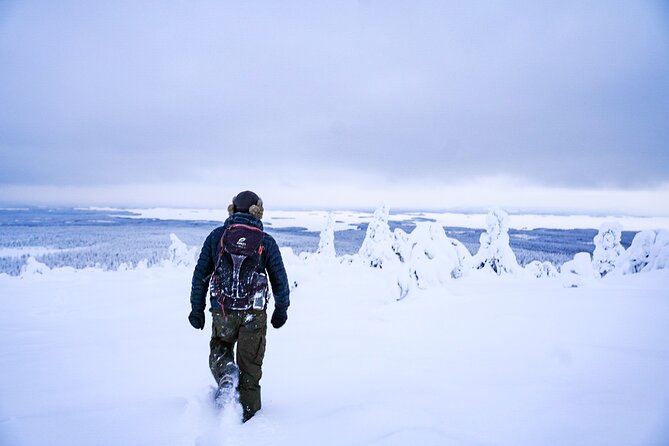 Arctic Adventure through Magical Frozen Forests of Riisitunturi - The 4 km Hike Inside Riisitunturi: Walk Length, Pace, and Photo Time