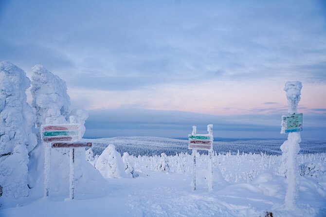 Arctic Adventure through Magical Frozen Forests of Riisitunturi - Campfire Snack Time: Warming Breaks Done the Finnish Way