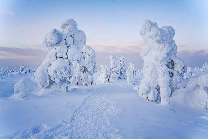 Arctic Adventure through Magical Frozen Forests of Riisitunturi - Timing in Lapland: Returning to Rovaniemi Around 17.00