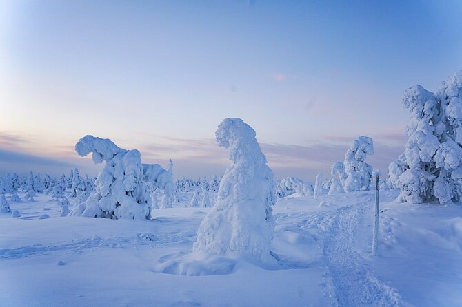 Arctic Adventure through Magical Frozen Forests of Riisitunturi - Getting There From Rovaniemi: The 150 km East Drive That Sets the Mood