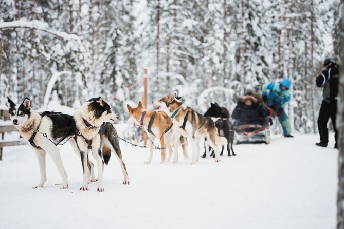 Arctic Circle Highlights Family Day - Pickup and Getting Around: Rovaniemi City Center Style