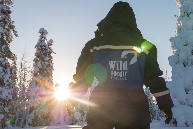 Arctic Circle Snowmobile Safari for Beginners in Rovaniemi - Timing, group size, and the pace you should expect