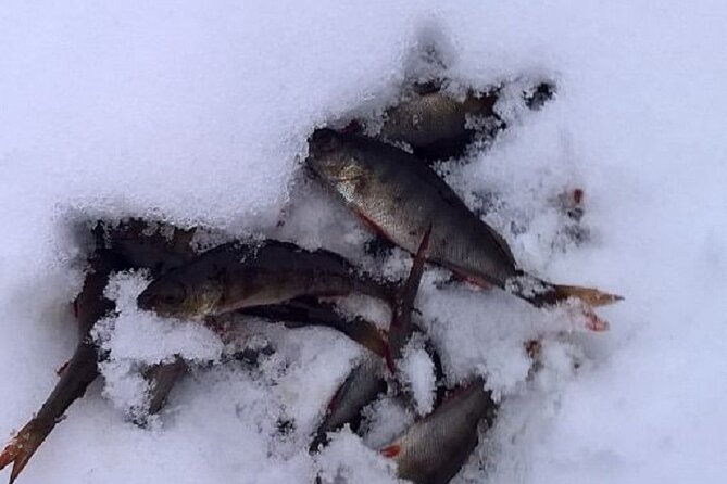 Arctic Day with Ice Fishing and Floating - Snowshoeing First: Getting Your Bearings in the Arctic