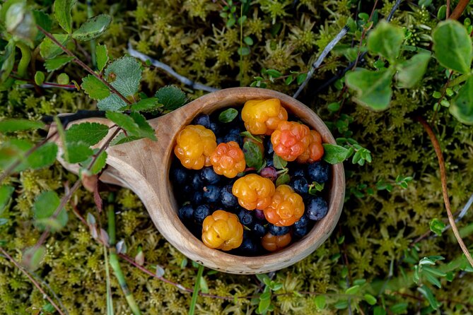 Arctic Wilderness Hike with Fire-making - Why Arctic fire-making feels practical here