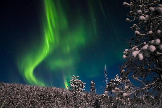 Aurora Borealis Picnic in Rovaniemi - Meeting at Safartica in Koskikatu 9 and getting outfitted fast