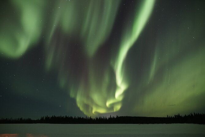 Aurora Borealis Picnic in Rovaniemi - The Lappish picnic: what the warm food stop really feels like