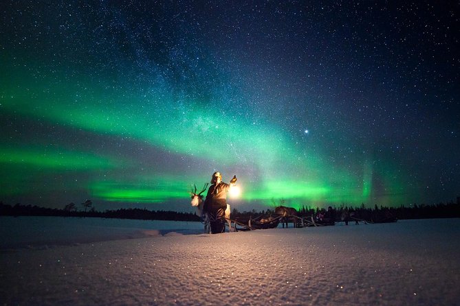 Aurora Hunting by Reindeer Sleigh - Key things to know before you go