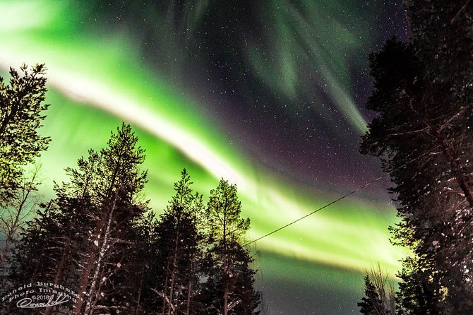 Auroras - Northern Lights Tours by Aurora Experts - Rovaniemi - Late-Night Aurora Odds in Rovaniemi (and Why Timing Is Everything)