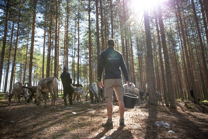 Authentic Reindeer Farm and Canoe Experience from Rovaniemi - Gear and Inclusions: What You Don’t Have to Worry About