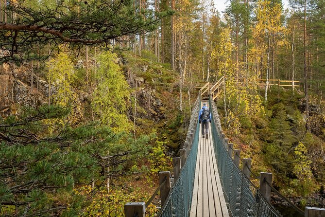 Auttiköngäs Nature Trail - Campfire barbecue lunch: the warmth break you’ll be grateful for