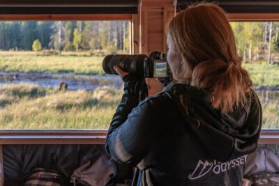 Bear and Arctic Animals 2 Day Trip from Rovaniemi - Pickup, small group size, and why the schedule matters