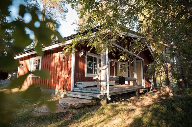 Best Of Lapland: Sauna, Ice swimming, Dinner & Northern Lights - The Open-Fire Dinner After the Cold: Smoked Salmon Comfort