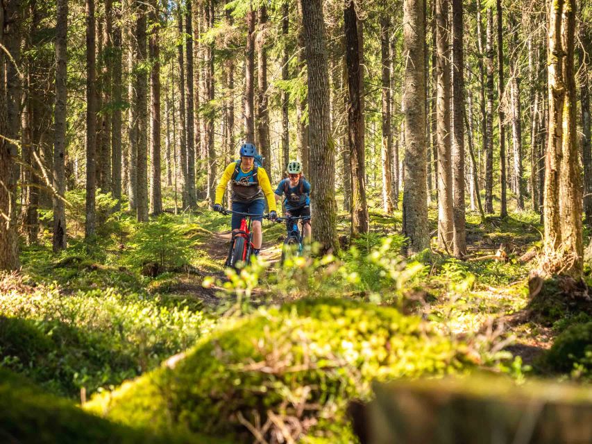 E-FatBike experience in small groups - Key things you’ll notice right away