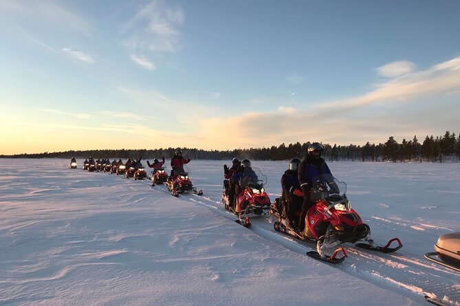 Easy Snowmobile Safari - From Thick Ice to Forest Tracks: What You’ll See