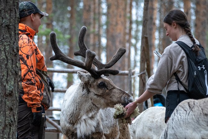 Electric Fatbike Trip to the Reindeer Farm - Why This Electric Fatbike + Reindeer Farm Combo Works