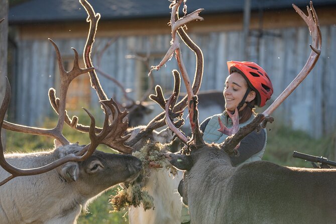 Electric Fatbike Trip to the Reindeer Farm - The 45-Minute Ride to the Reindeer Farm Through Lappish Nature