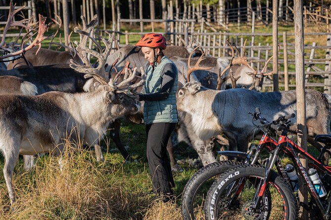 Electric Fatbike Trip to the Reindeer Farm - What to Pack and How to Prepare for a Winter Ride