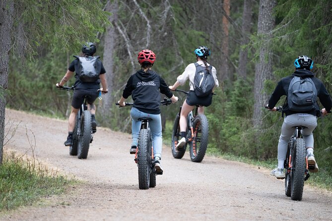 Electric Fatbike Trip to the Reindeer Farm - Your Electric Fatbikes: Built for Lapland Trails