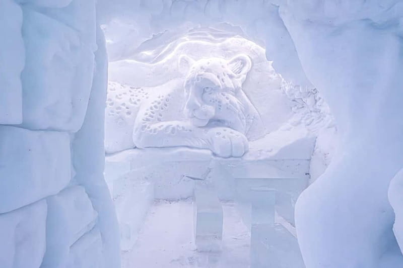 Entrance tickets to Snowman World and Snow Restaurant Dinner - Key Things I’d Put on Your Radar