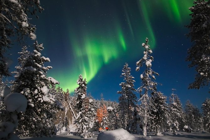 Evening Escape - Snowmobile safari and campfire in Rovaniemi - Aurora Borealis: how to manage expectations and still enjoy the night