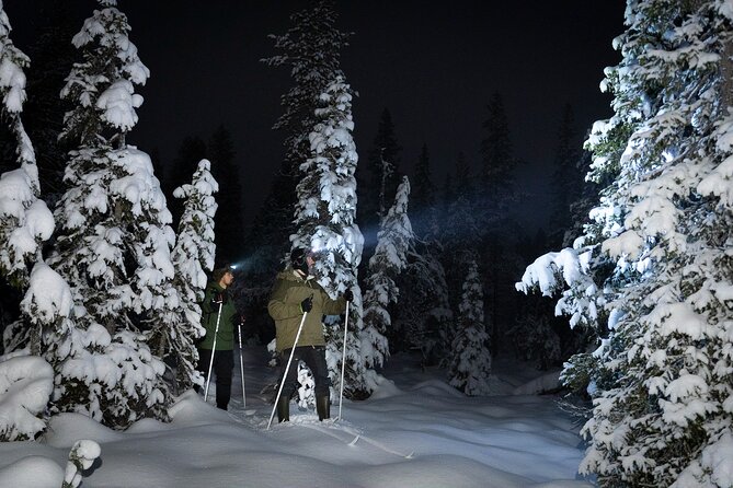 Evening Ski Trek to the Wilderness - Extra Small group - Key highlights you’ll actually care about