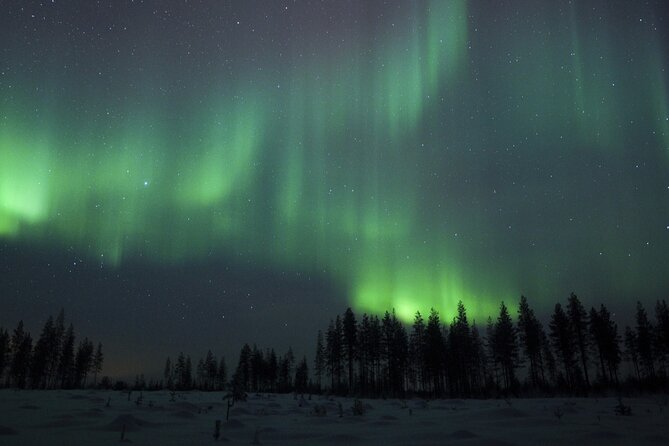Evening Ski Trek to the Wilderness - Extra Small group - Night skiing near Rovaniemi: the real deal