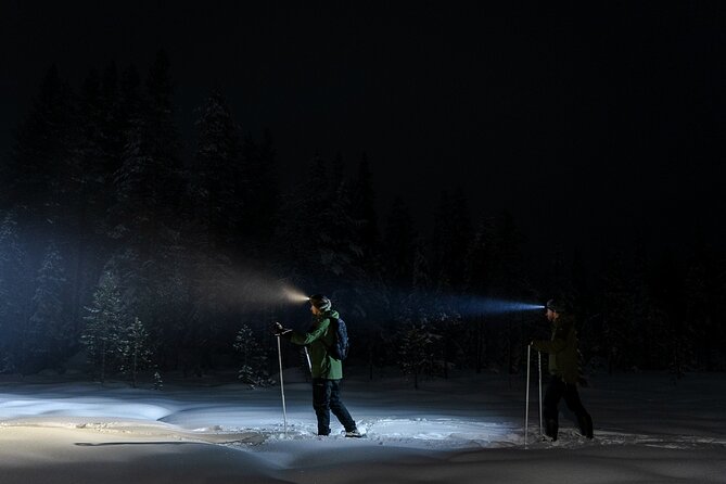 Evening Ski Trek to the Wilderness - Extra Small group - Stop 2: back to Rovaniemi, with time for getting ready
