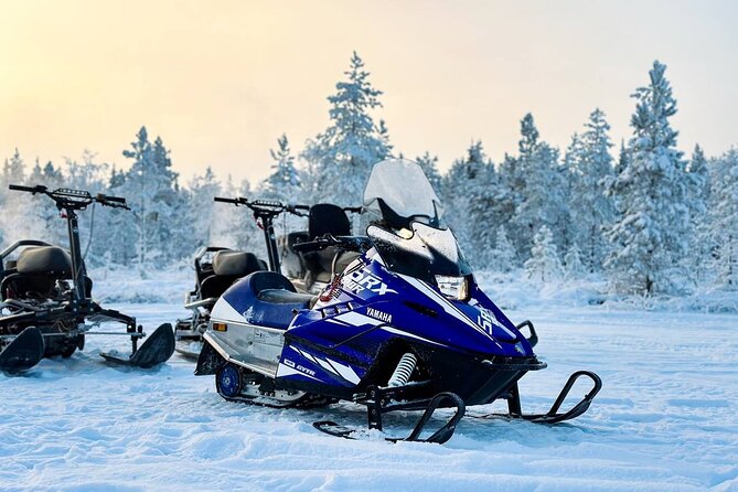 Expedition "INTO THE WILD" Safari and Lunch in Glass Igloo - What’s included (and why it matters in Finland winter)
