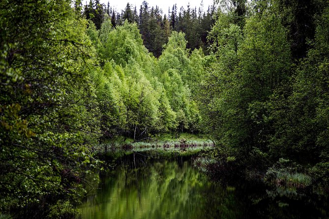 Explore the Wilderness (Summer & Autumn) - Key things that make this tour worth your time