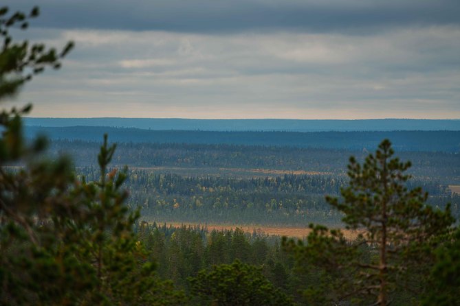 Explore the Wilderness (Summer & Autumn) - Wilderness photography in Rovaniemi: who this tour is for