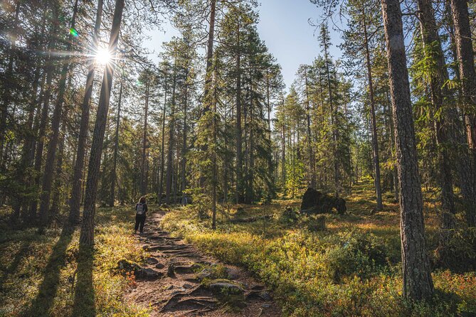 Explore the Wilderness (Summer & Autumn) - Learning with a pro: how you get better photos without guesswork