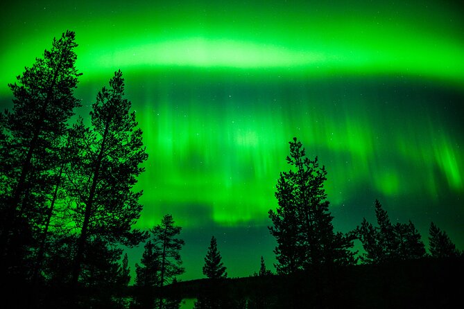 Family-Friendly: Northern Lights Adventure from Rovaniemi - Price and value: Is $126.16 per person worth it?