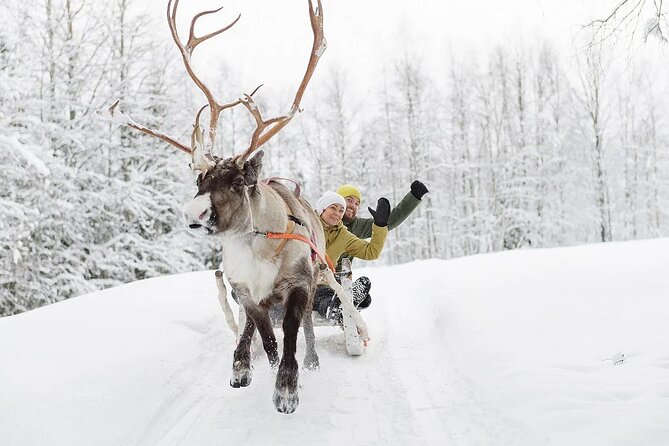 Forest Trail Reindeer Safari - Winter Gear and Warmth: Included Equipment That Makes a Difference