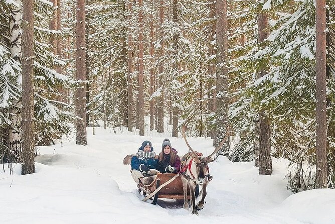 Forest Trail Reindeer Safari - Food, Drinks, and Timing: Keeping the Trip Enjoyable