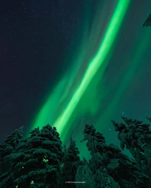 From Rovaniemi: Aurora Borealis Hunting with Photos & Videos - Price and value: what $136 buys you in Rovaniemi