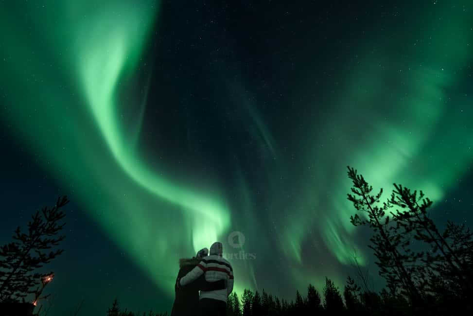 From Rovaniemi: Aurora Borealis Hunting with Photos & Videos - The media you’ll actually want: sharp photos and epic videos