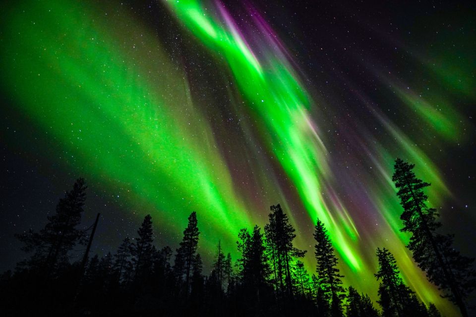 From Rovaniemi: Family-Friendly Northern Lights Tour - Key things to know before you go