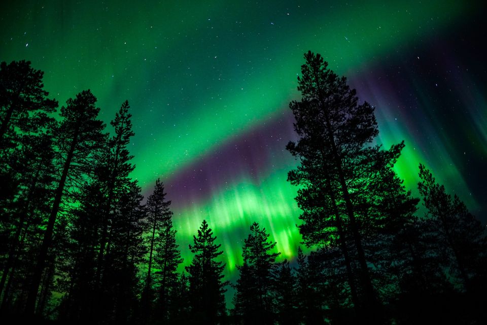 From Rovaniemi: Family-Friendly Northern Lights Tour - How the 3-hour Rovaniemi night is paced (and why it works with kids)