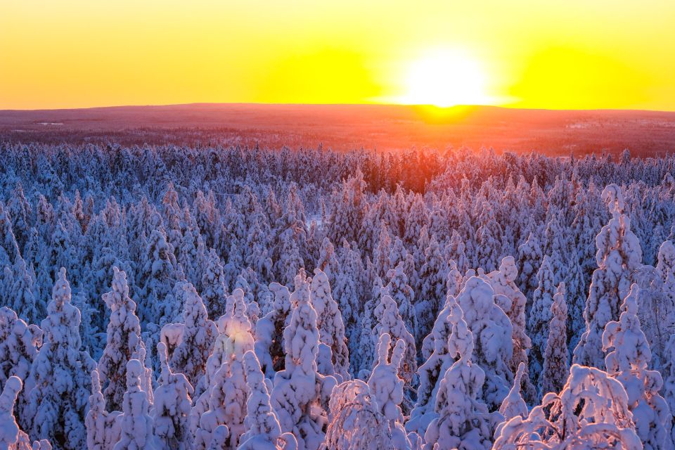 From Rovaniemi: Guided Lapland Snowmobile Adventure - Key things to know before you go