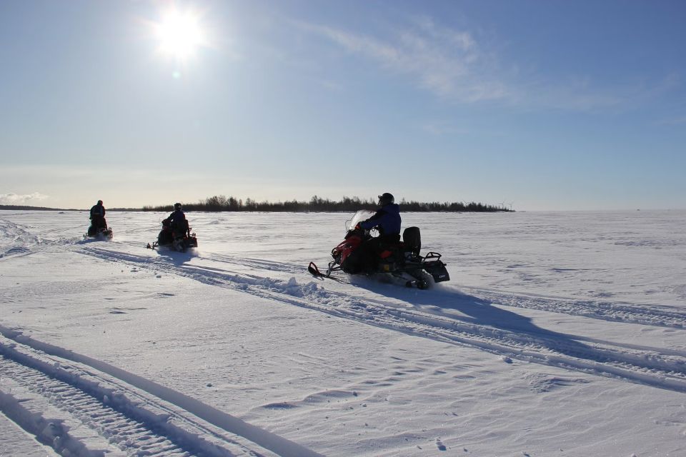 From Rovaniemi: Guided Lapland Snowmobile Adventure - Snowmobile Pairing Rules: Sharing vs Driving Solo