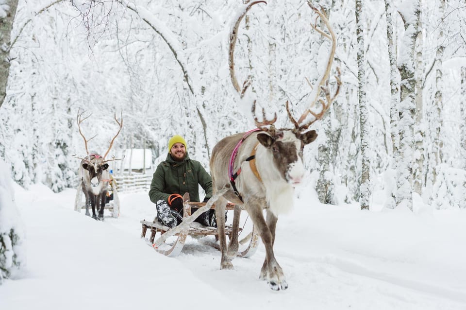 From Rovaniemi: Husky and Reindeer farm with sled ride - What to Bring (So You Can Actually Enjoy the Sledding)